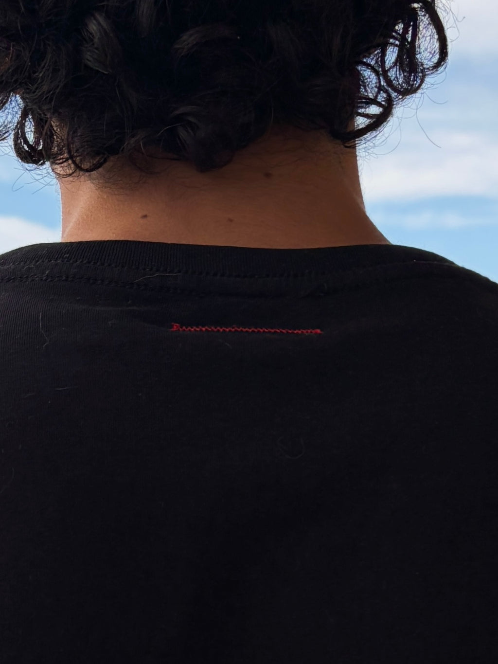 The T-Shirt